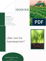 Diapositiva Agronegocios