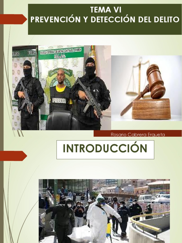 Prevención y Detección del Delito | PDF | Derecho penal | Policía