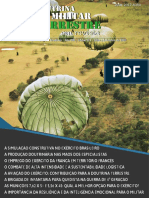 41ancfuz 0 PDF, PDF, Comandos (soldados)