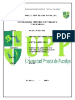 Universidad Privada de Pucallpa Facultad de Ciencias Contables Y Financieras