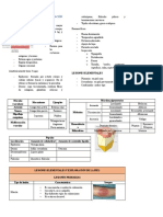 Lesiones Elementales y Exploración de La Piel