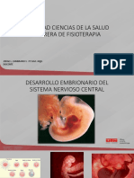 Desarrollo Embrionario - Maduración Del SN