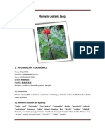 Ficha Técnica Del Tochomite (Hamelia Patens)