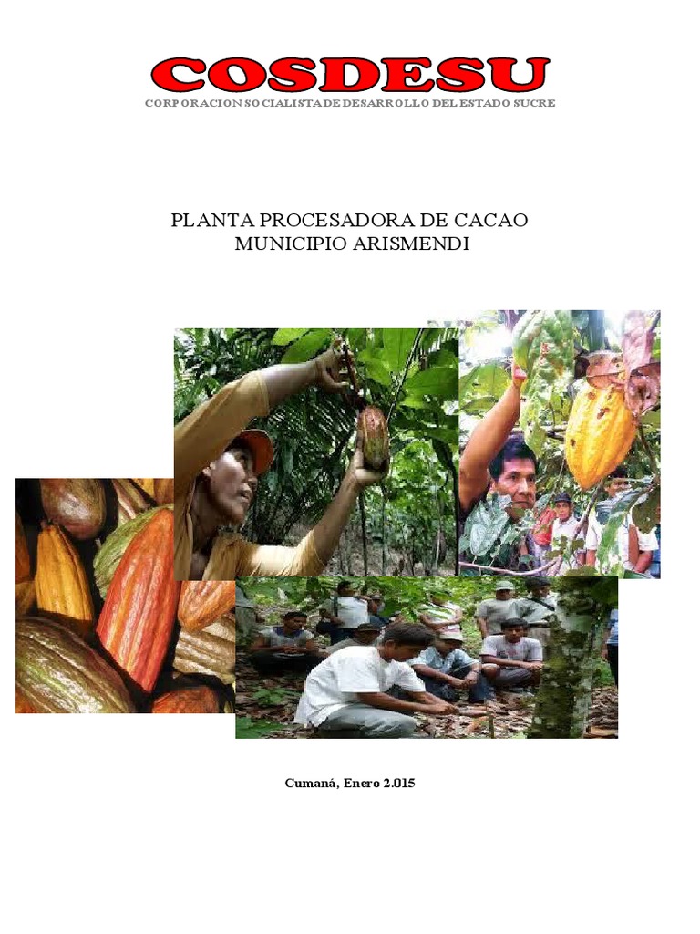 Portada Cacao Pdf