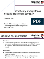 Building A Market Entry Strategy For Industrial Disinfectant Company