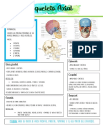 Esqueleto Axial: Cráneo