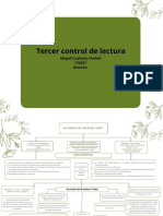 Mapa Conceptual Plantas Orgánico Verde