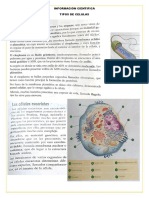 Informaciòn Cientifica 3