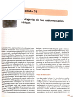 Cap. 58 Patogénesis de Las Enfermedades Viricas - Quinn