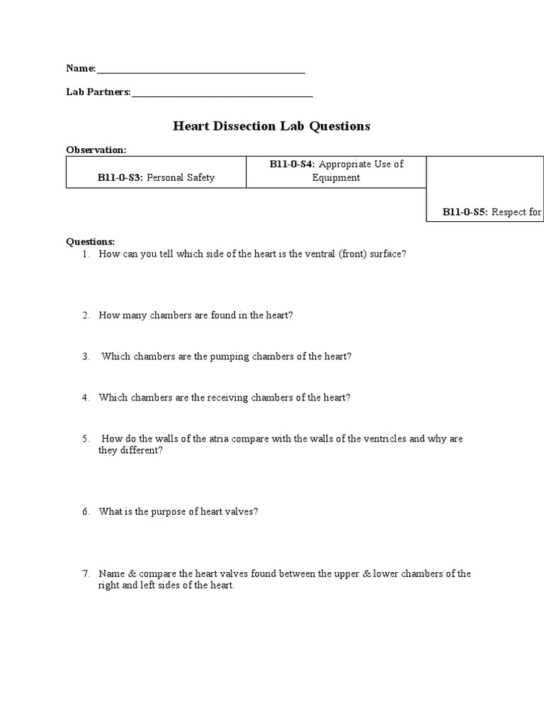 Heart Dissection Lab Questions PDF