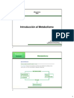 Clase 10 - IntroducciÃ N Al Metabolismo - GlicÃ Lisis - FermentaciÃ N