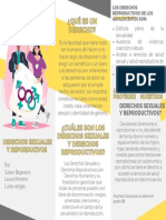 Folleto Brochure de Servicios Empresa Profesional Amarillo