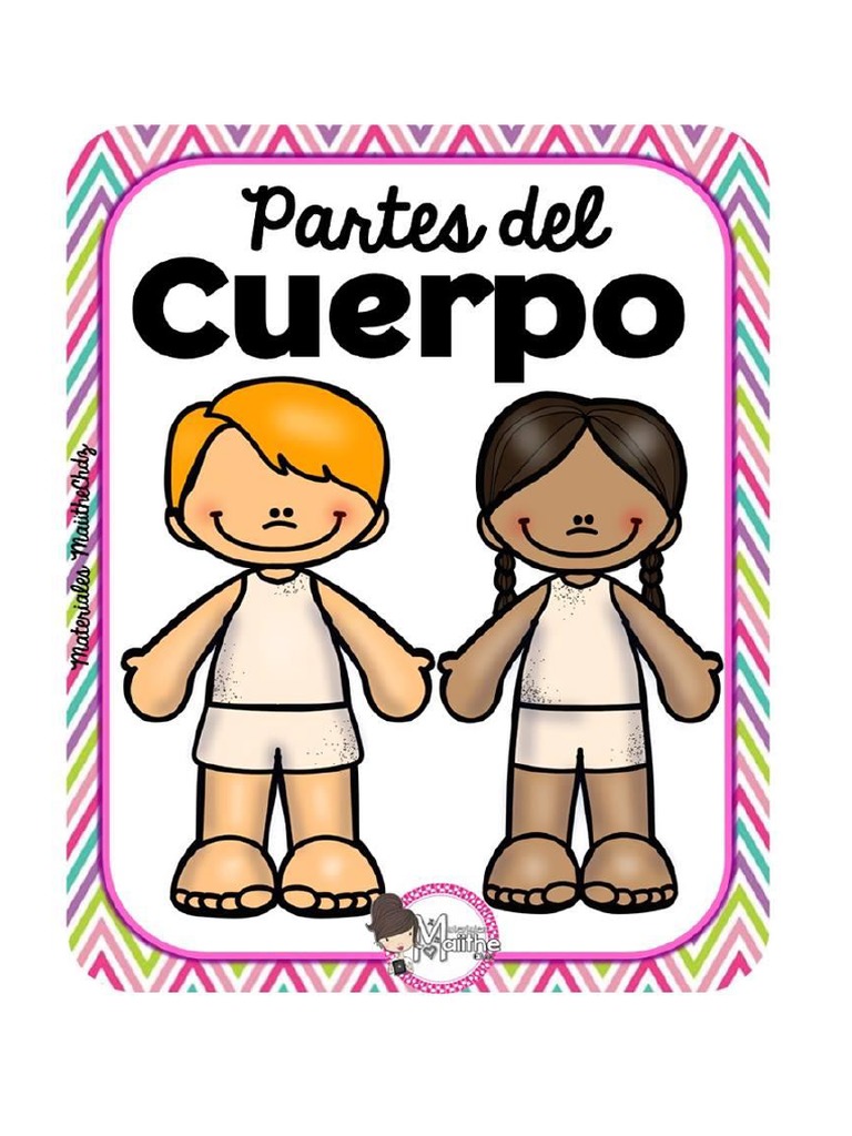 Partes Del Cuerpo | PDF