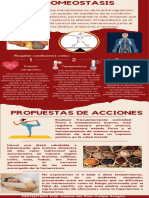Rojo Blanco Antiguo Marcos Dinámicos ConflictoDesplazamiento Centro de Crisis Infografía