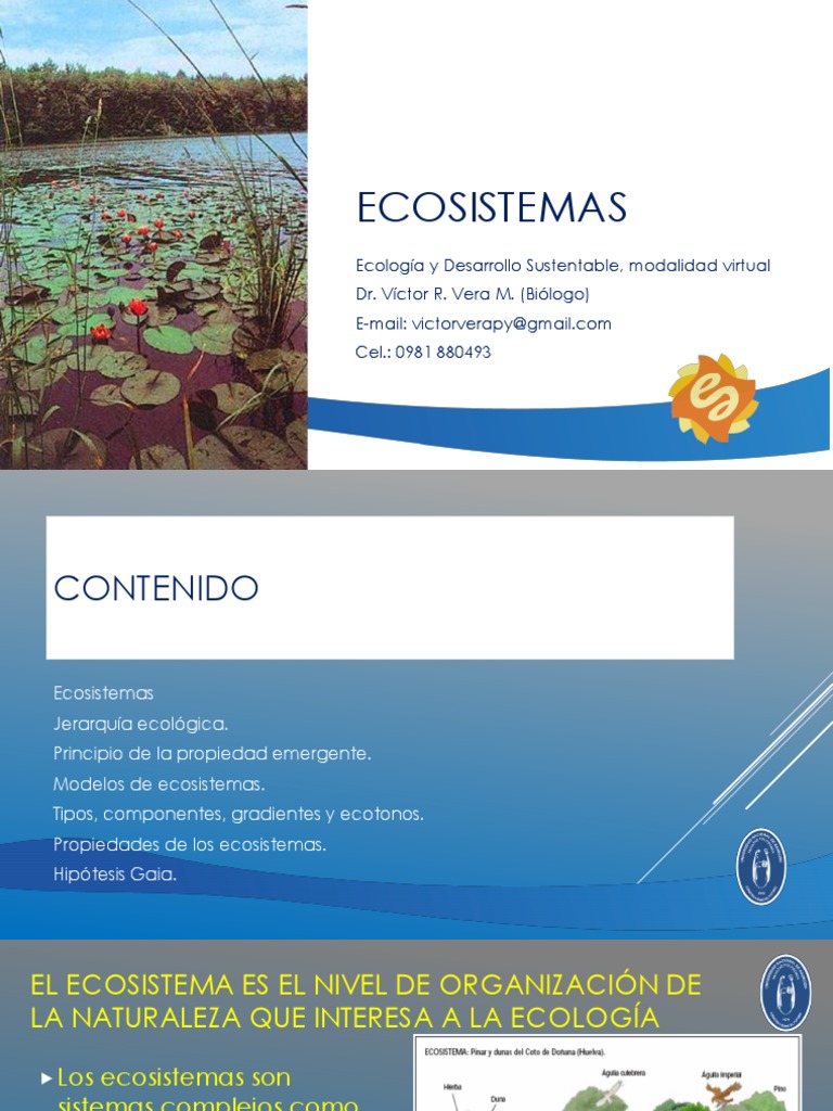 Modelos y Tipos de Ecosistemas | PDF | Ecosistema | Organismos