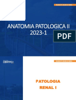 Patologia Renal I 2023-1