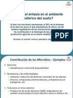 04.por Que El Enfasis en El Ambiente Rizosferico Del Suelo