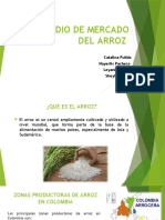 Estudio de Mercado Del Arroz