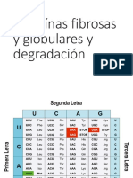 Clase 3 Proteínas Fibrosas y Globulares y Degrad 2021 ModiF CMR