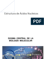 Presentacion 5 Estructura de Acidos Nucleicos CMR Modif 22