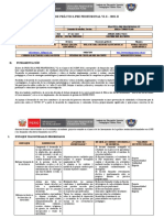 Sílabo de Práctica Pre - Profesional VI