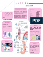 Mapa 2 Entamoeba