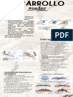 Desarrollo Ocular y Visual