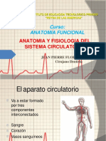 CLASE 09 ANATOMIA Y FISIOLOGIA DEL SISTEMA CARDIACO 01convertido 1