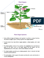 Plant Organs - 14 Week