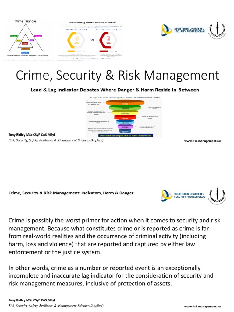 Security Management PDF Risk Securities