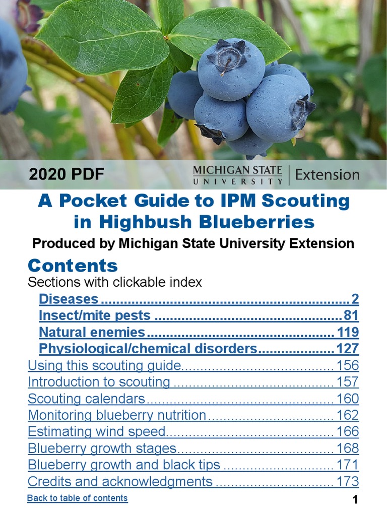 BlueberryGuide Online FINAL | PDF | Blueberry | Botany