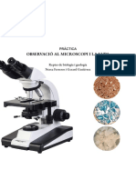 Disseny Experimental Microscopi-Lupa - Gerard Gutiérrez I Nerea Ferreros