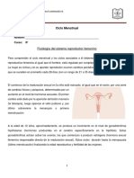 Guia Ciclo Menstrual 8 A 8 B Biología