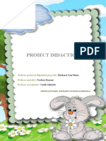 Proiect Didactic - Activitate Practică - Iepuraș Mihaela Draghici