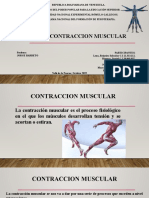 Contraccion Muscular