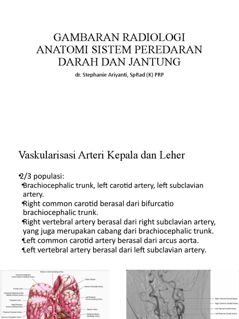 Radiology of Cardiovascular Anatomy | PDF | Common Carotid Artery | Aorta