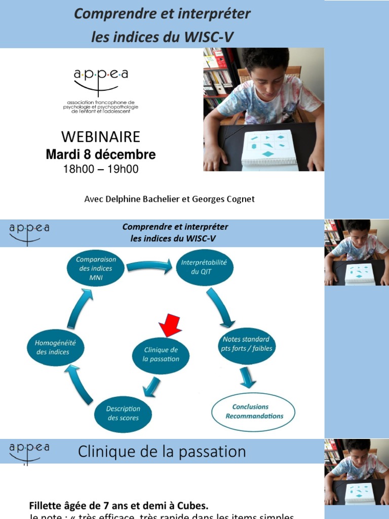 Indices w5 ppt webinaire 08 12 20 db gc descargar gratis pdf