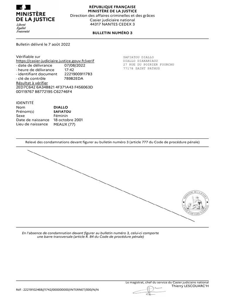 Bulletin numéro 3 du casier judiciaire | PDF
