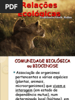 Relações Ecológicas