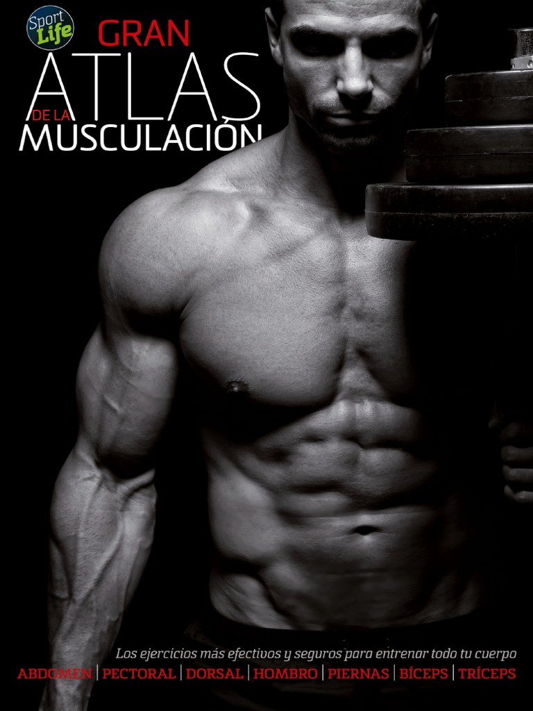 Atlas Musculacion SportLife Descargar Gratis PDF M sculo 