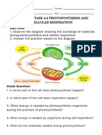 Learning-Task-4.4-Photosynthesis-and-Cellular-Respiration