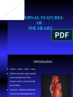 EXTERNALFEATURESOFTHEHEART - ppt1