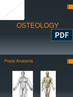 Osteologi 1