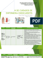 Plan de Cuidados Endocarditis