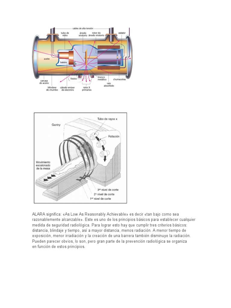 Estudiar Rayos X | PDF