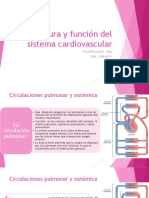Estructura y Función Del Sistema Cardiovascular