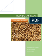 Plan de Empresa - Pedro Jesús Flores López
