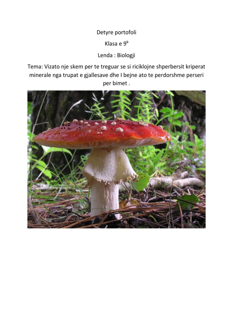 BIOLOGJI | PDF