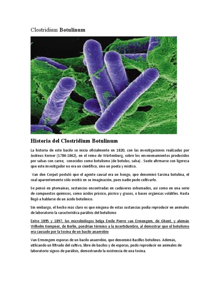 Clostridium Botulinum Pdf