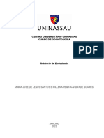 Relatório de Endodontia (2) - 095436